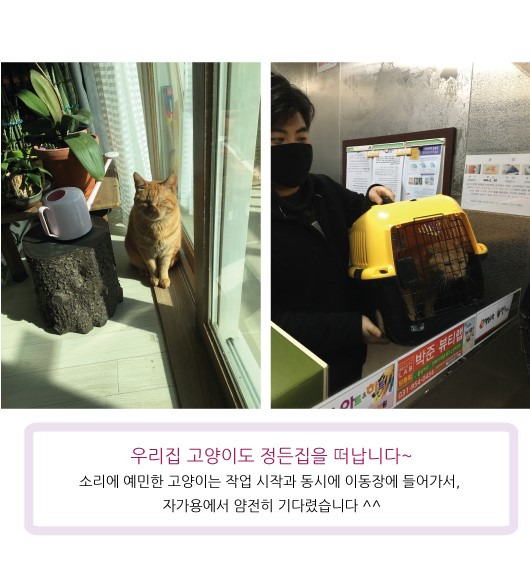 홍은정 후기 사진 2
