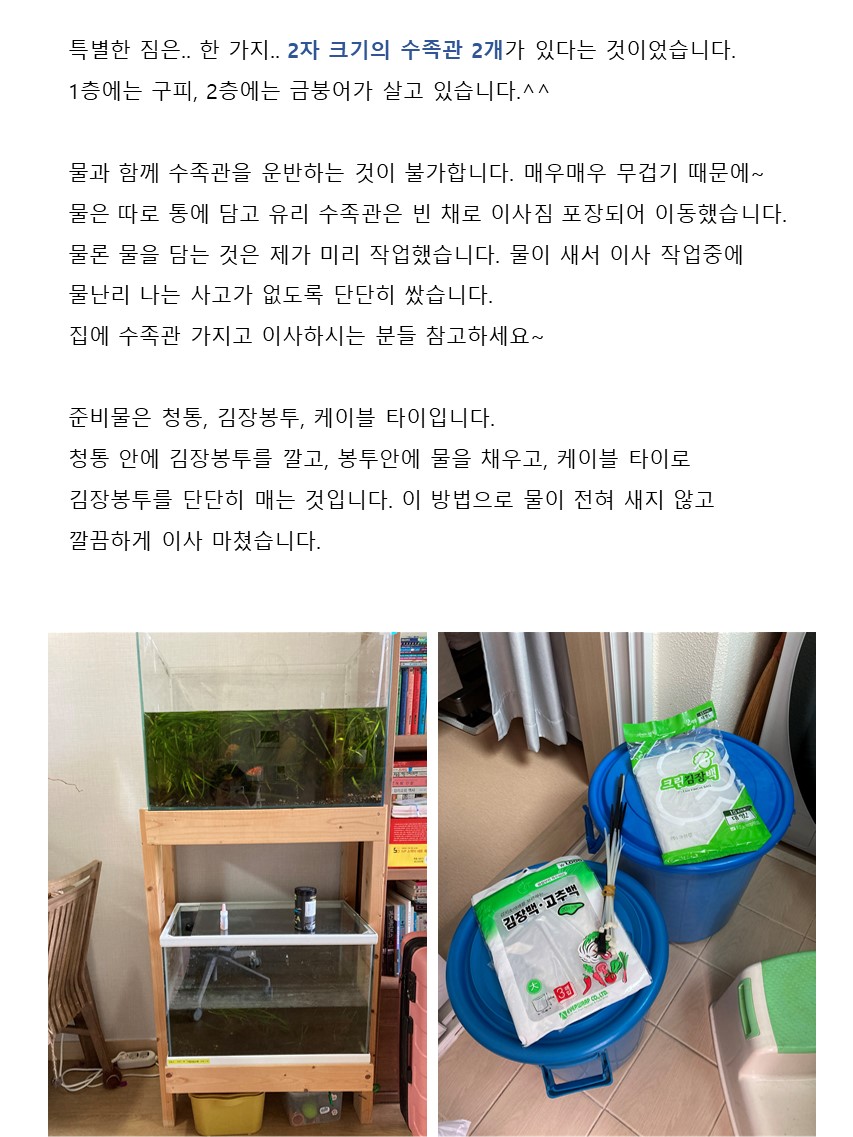 엄선한 후기 사진 3