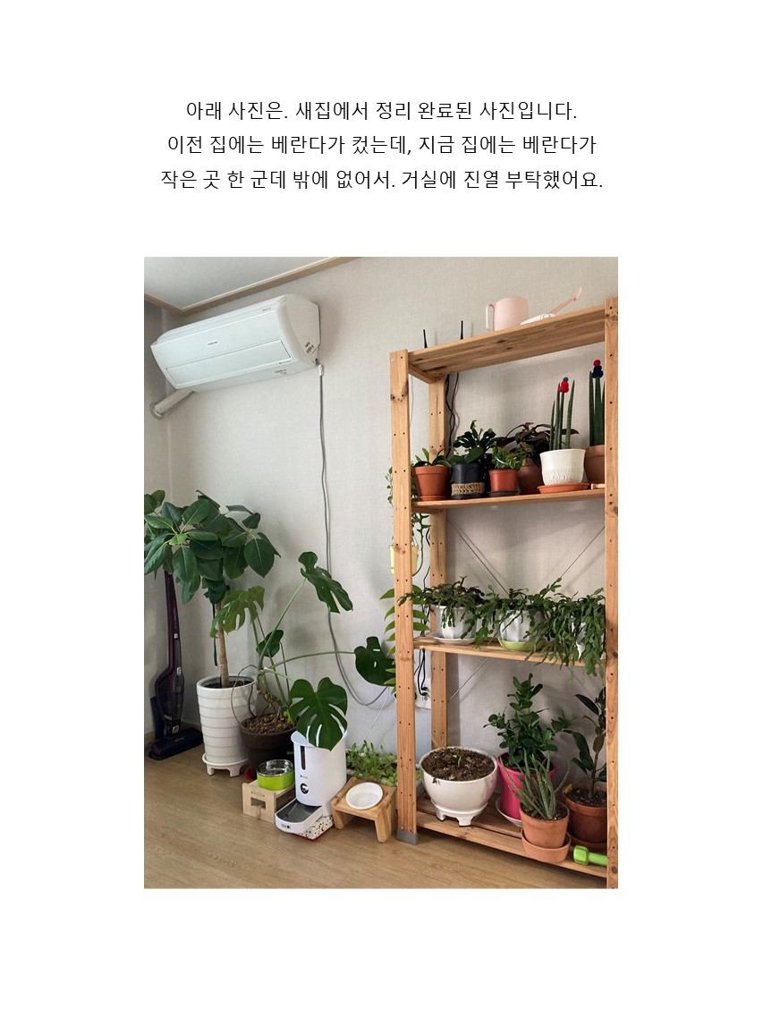엄선한 후기 사진 15