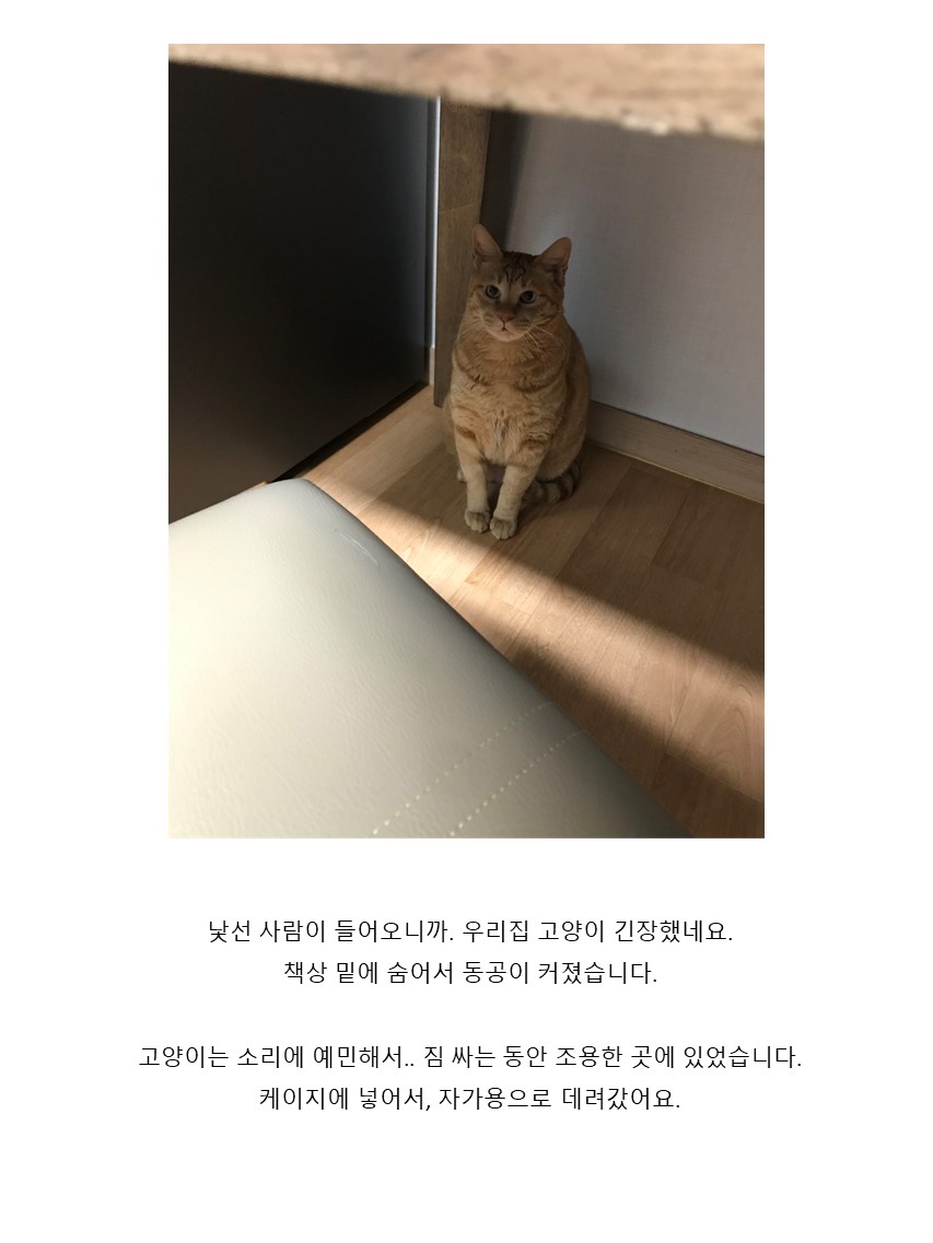 엄선한 후기 사진 6
