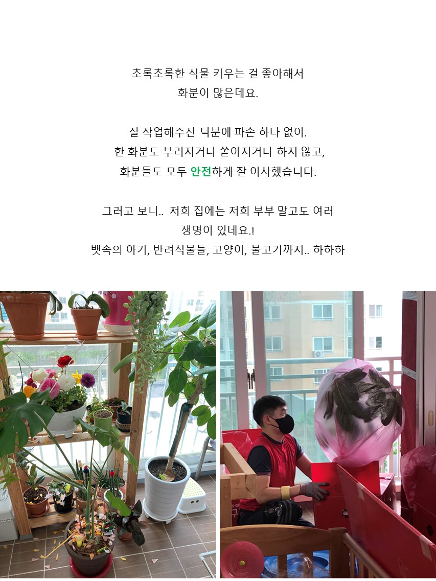 엄선한 후기 사진 14