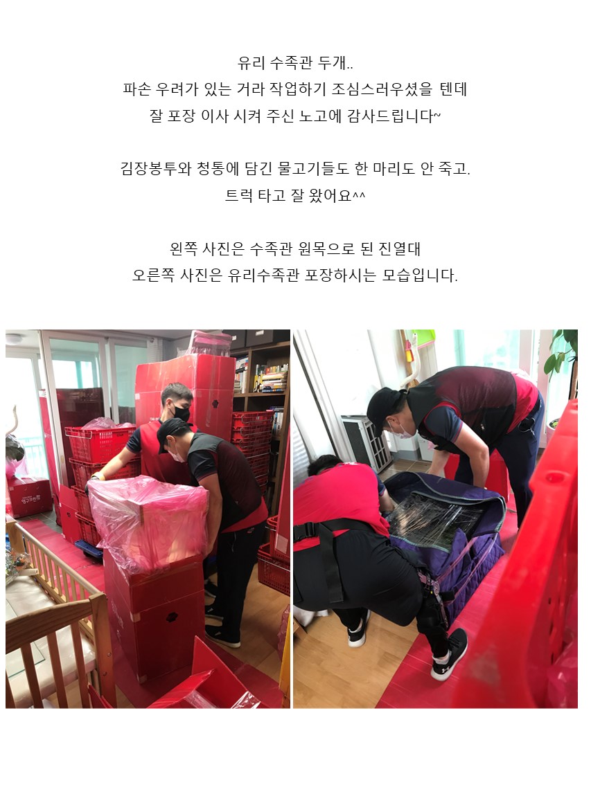 엄선한 후기 사진 10