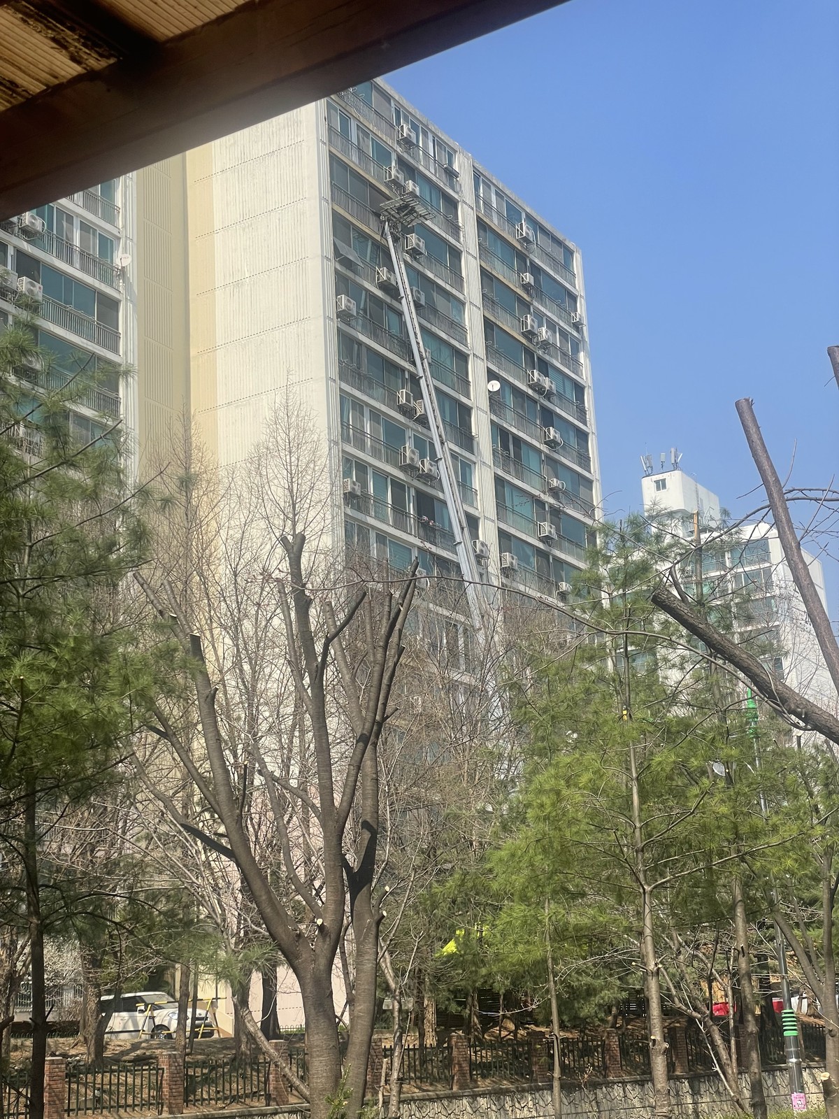 유영은 후기 사진 1