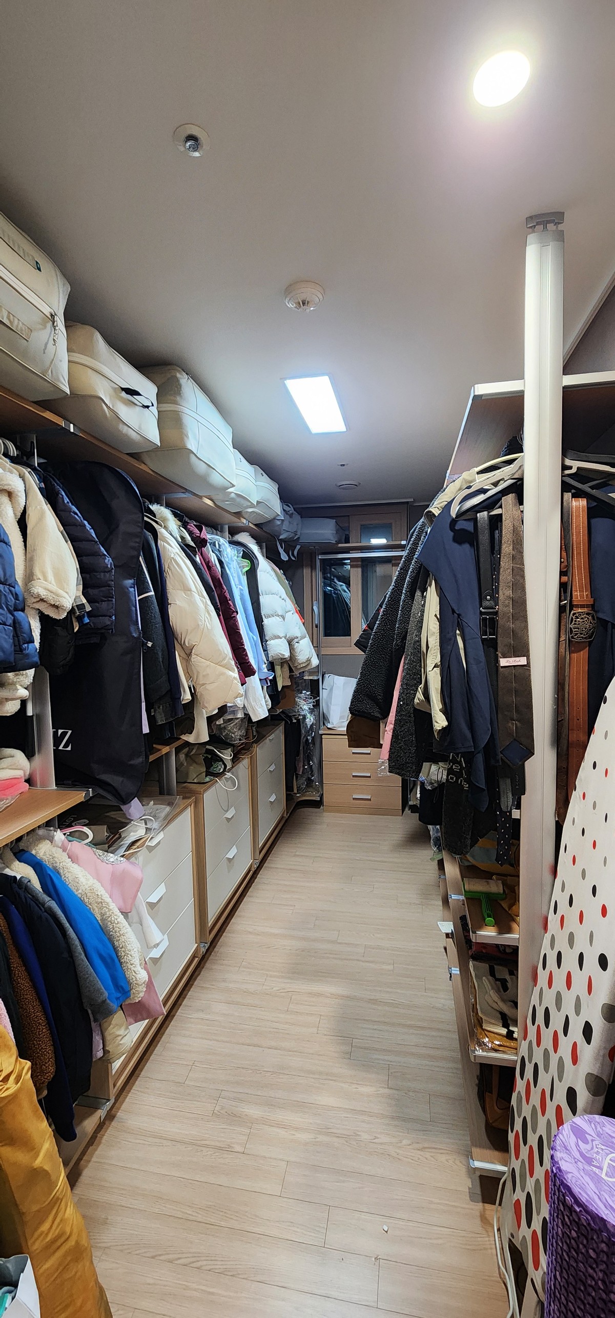 젤라 후기 사진 1
