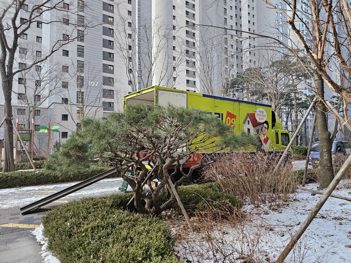 김영식 후기 사진 9