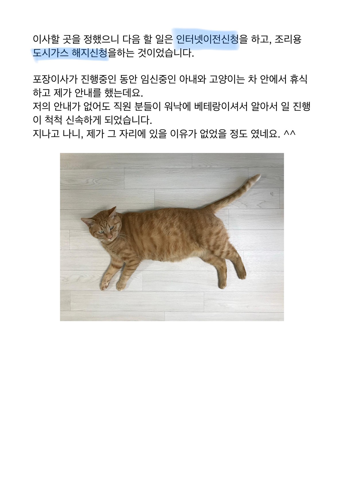 엄선한 후기 사진 2