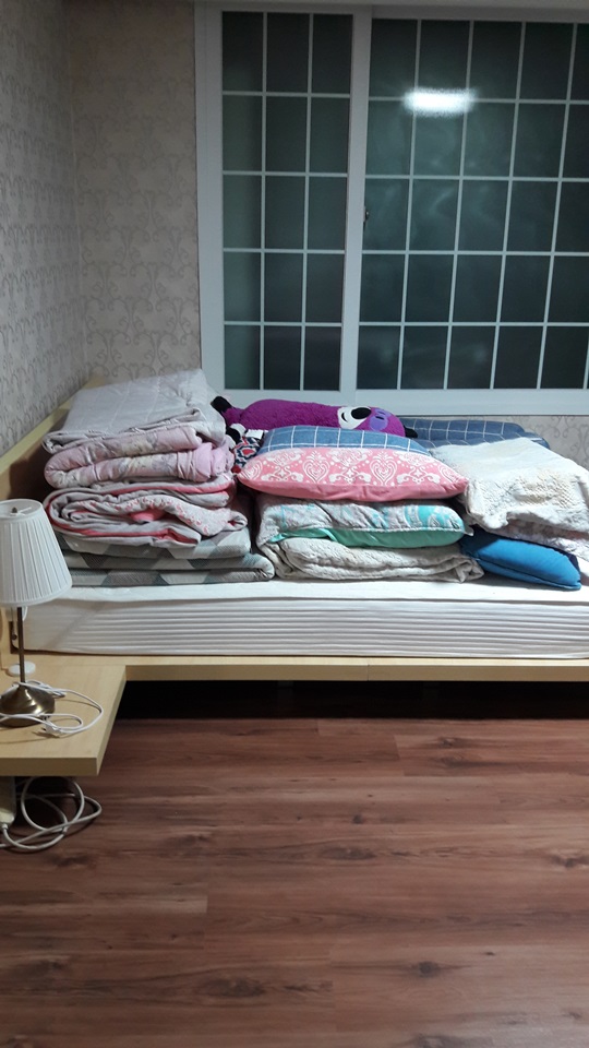 박진아 후기 사진 5
