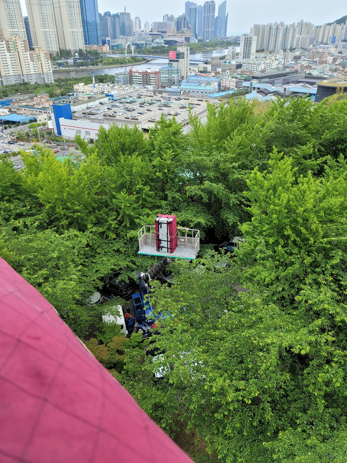 김세연 후기 사진 4