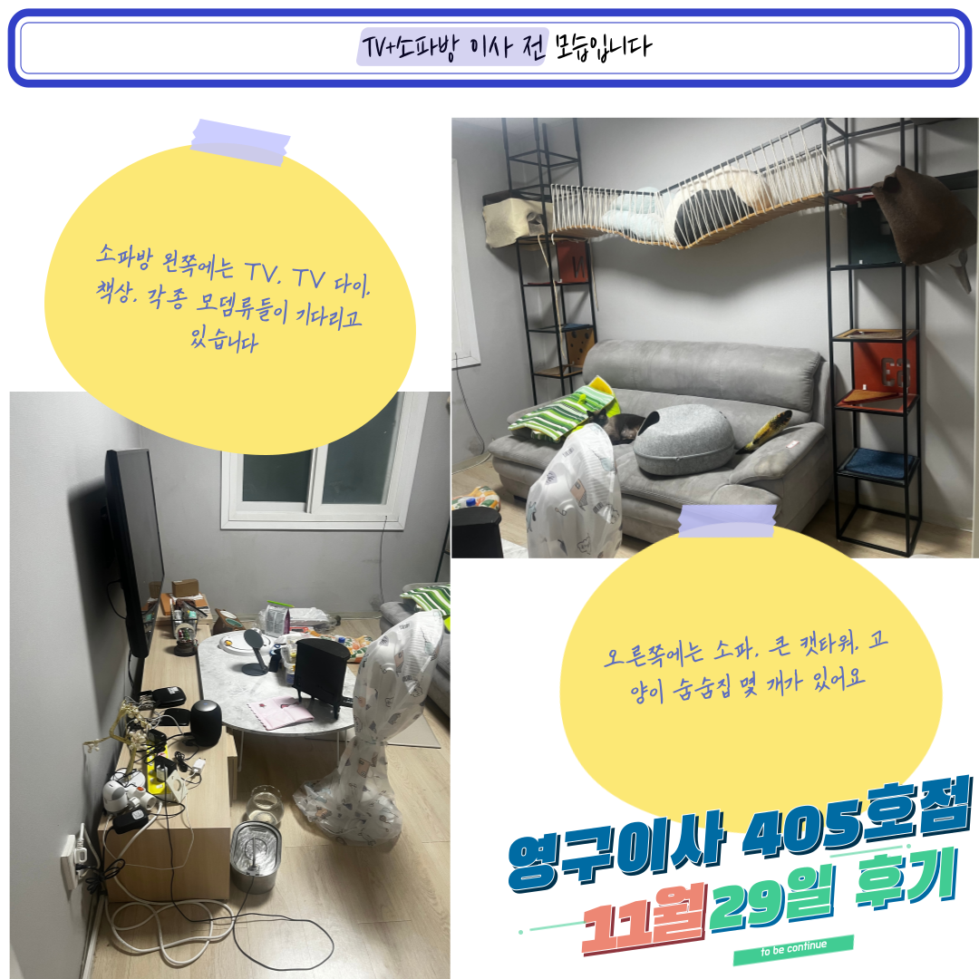 이다솔 후기 사진 7