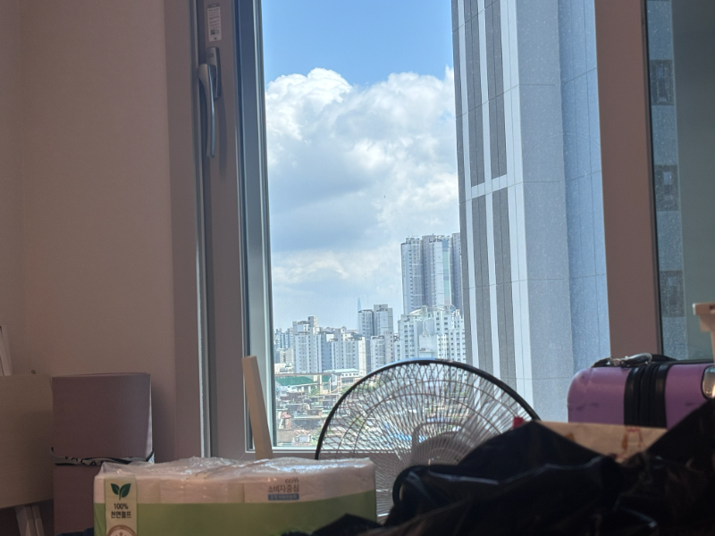 김세준 후기 사진 8