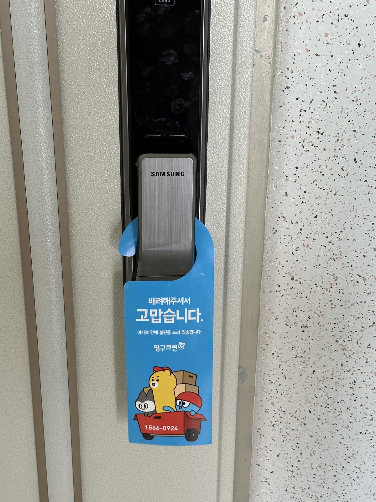 신세영 후기 사진 1