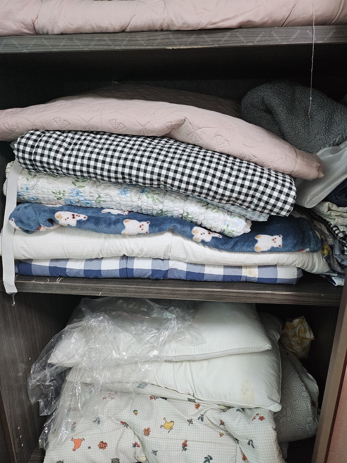 최승찬 후기 사진 11
