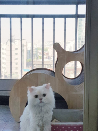 이성희 후기 사진 6