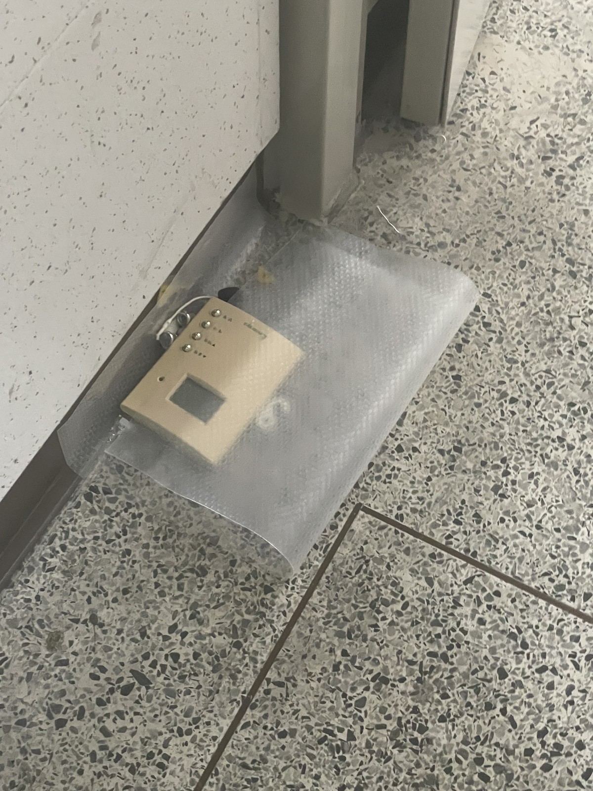 장진영 후기 사진 2
