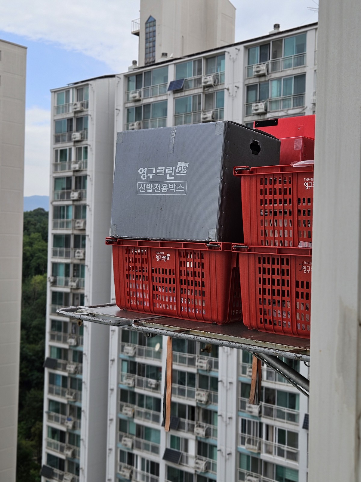 김병기 후기 사진 4