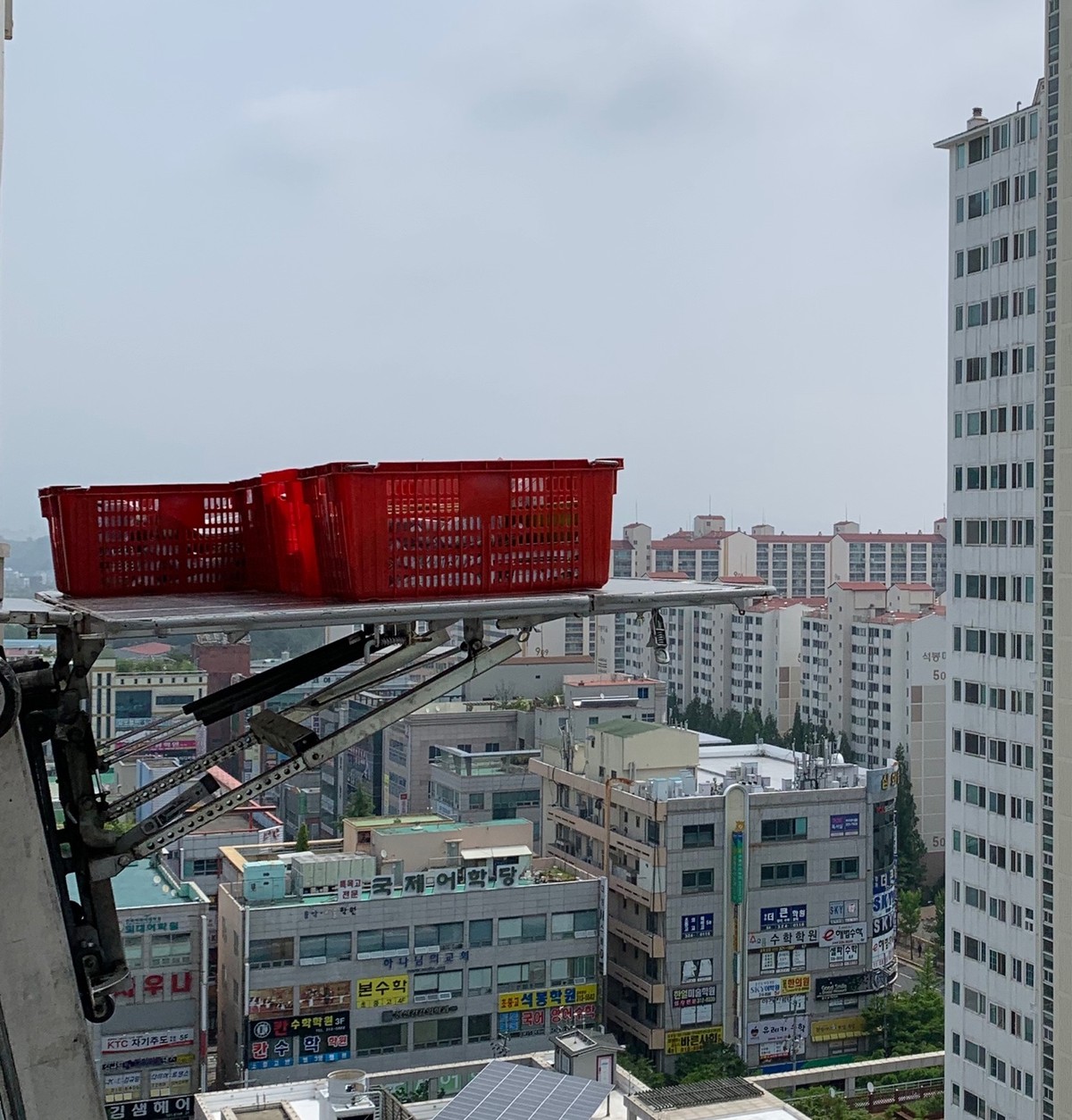 김정선 후기 사진 17
