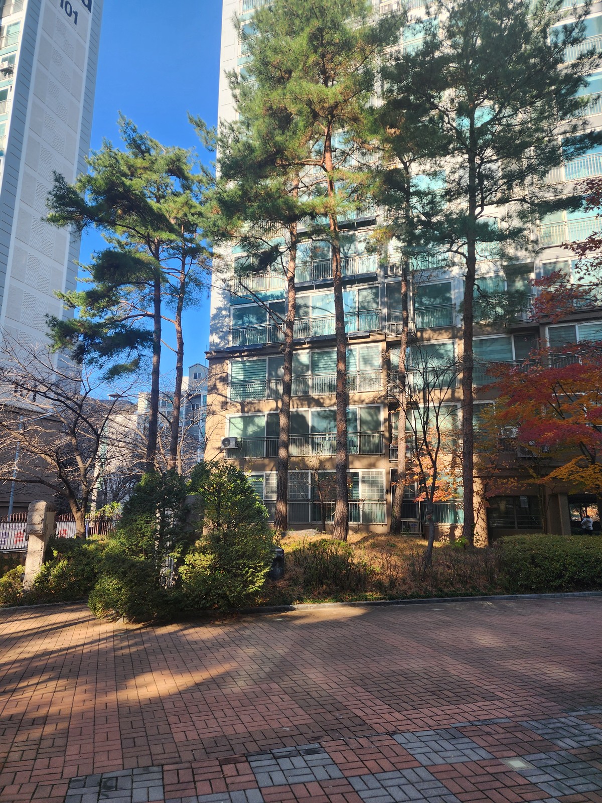 정규채 후기 사진 3