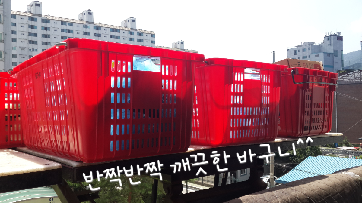 채정민 후기 사진 3