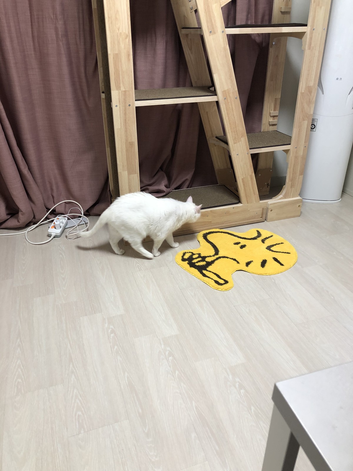 강유미 후기 사진 1