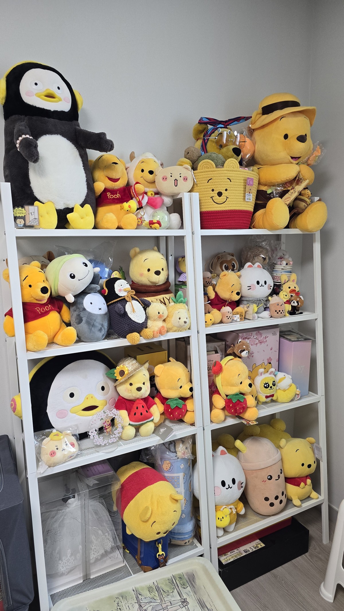 백정열 후기 사진 2