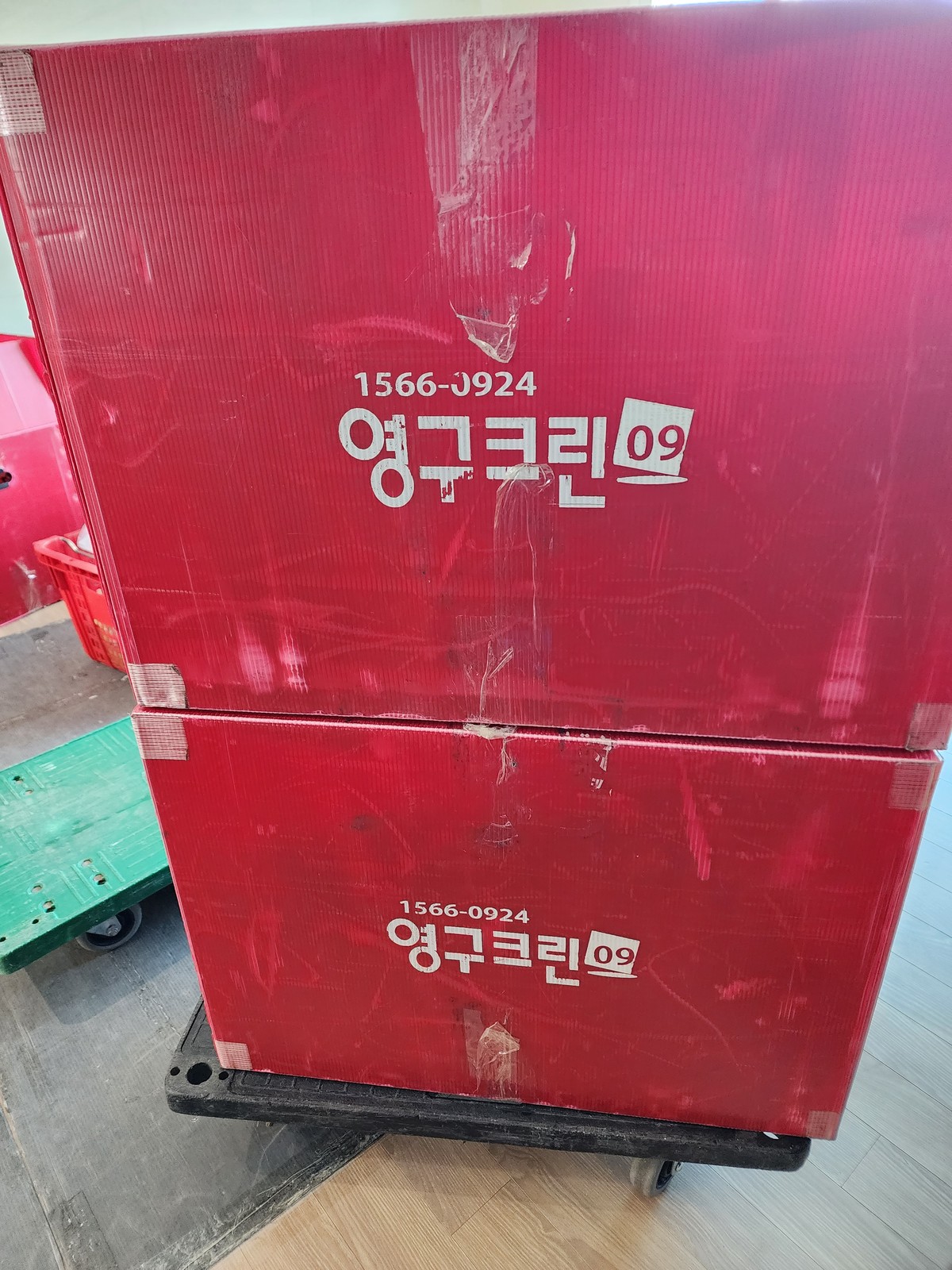 김지홍 후기 사진 1