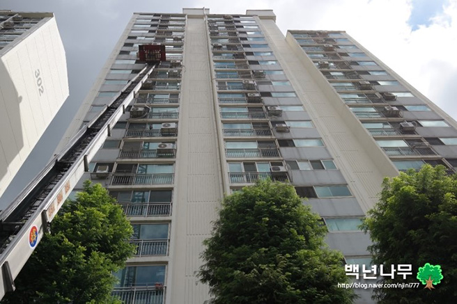 강현진 후기 사진 12