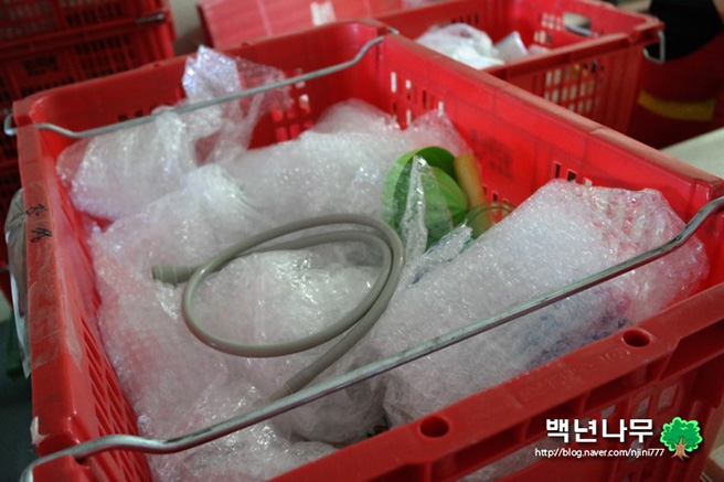 강현진 후기 사진 9