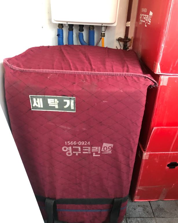 조영미 후기 사진 6