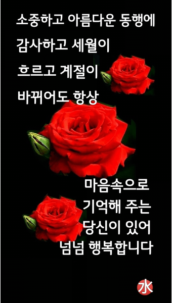 정은희 후기 사진 1