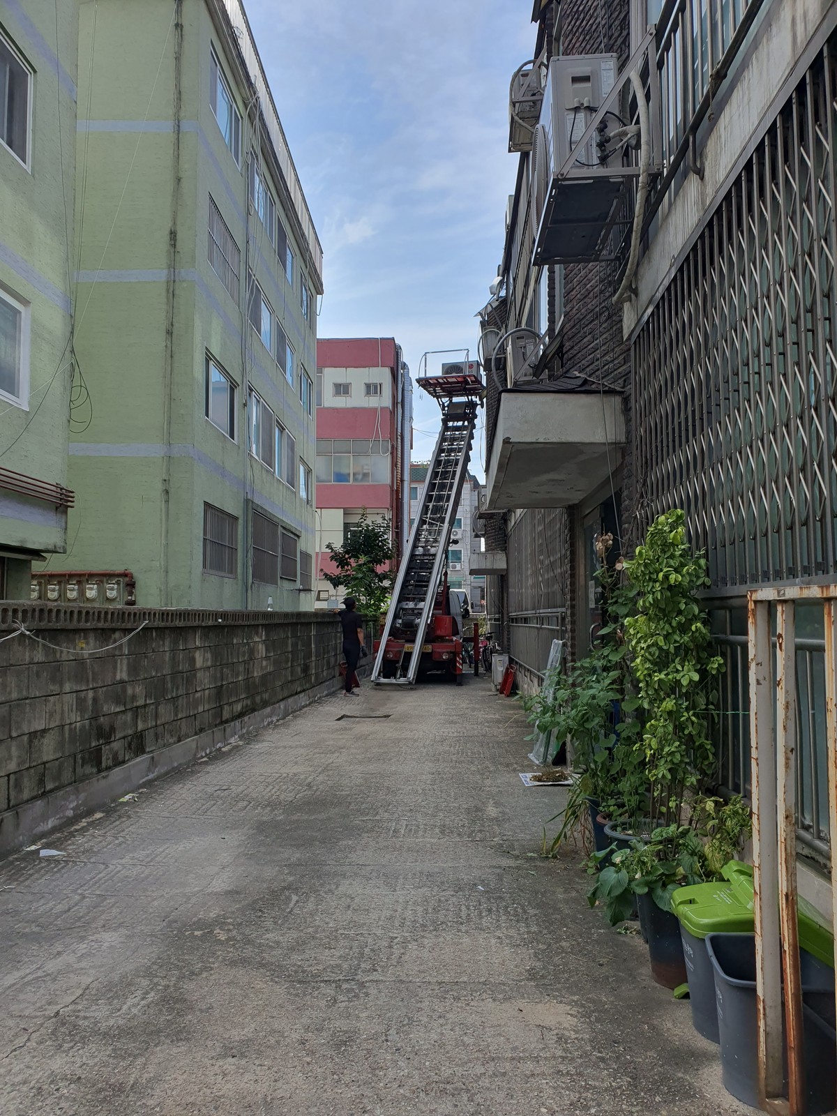 원다슬 후기 사진 1