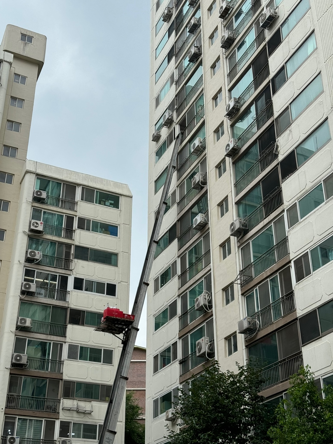 김유진 후기 사진 2