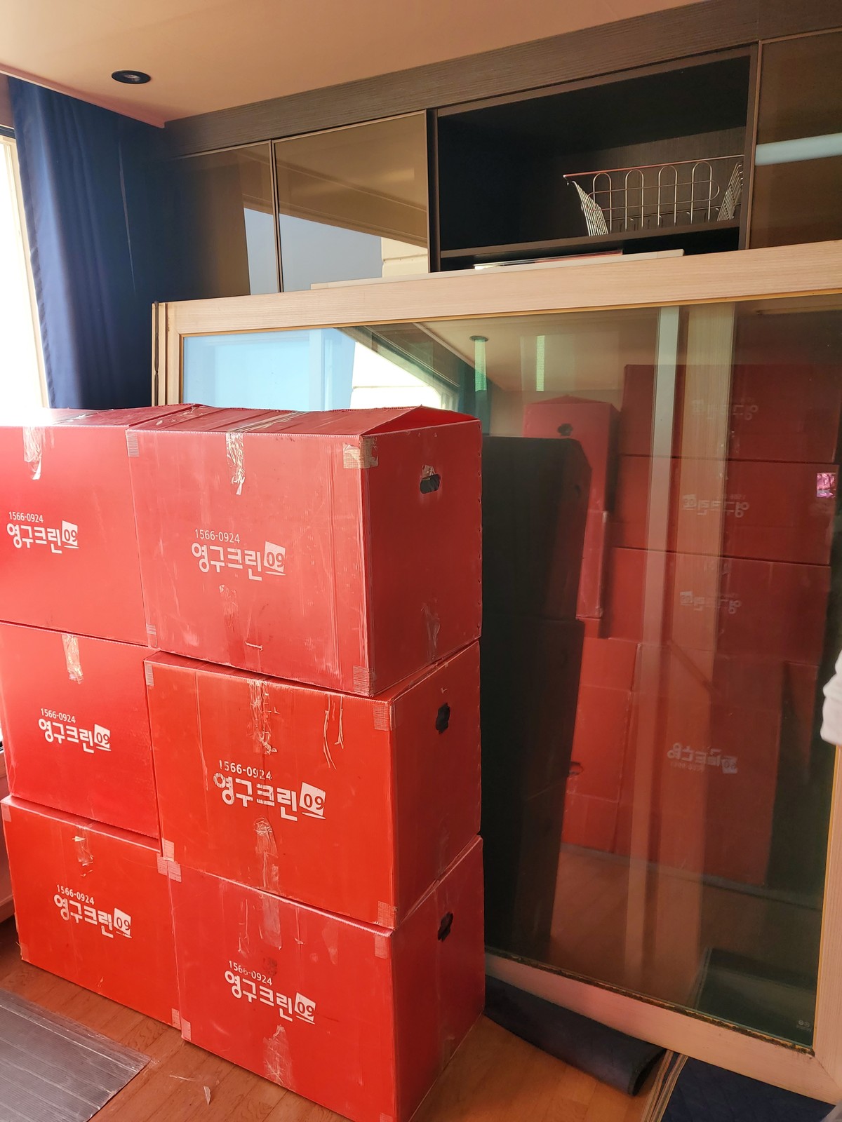 이영진 후기 사진 4