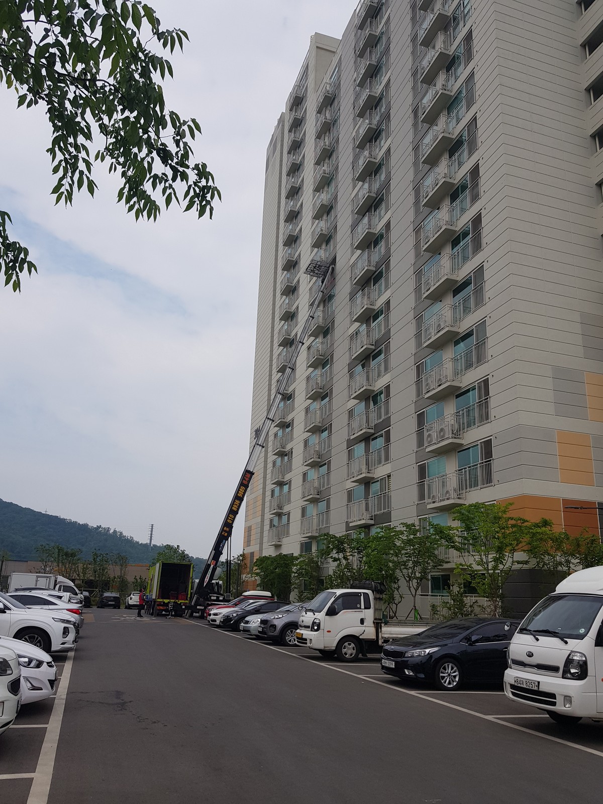 이도건 후기 사진 1