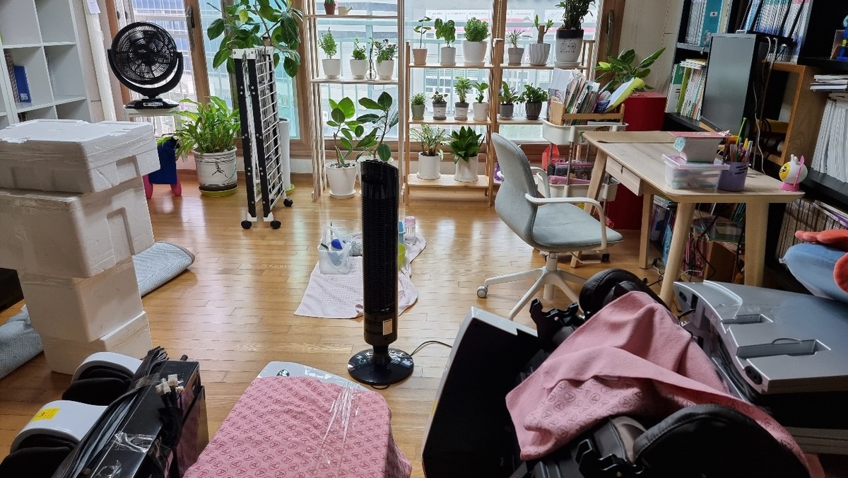 홍순아 후기 사진 1
