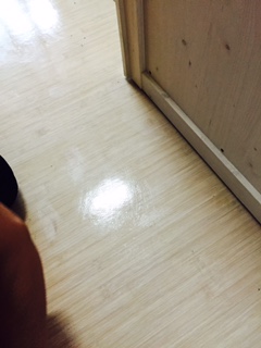 정수용 후기 사진 1