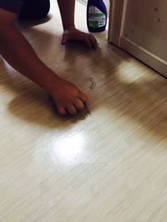 정수용 후기 사진 4