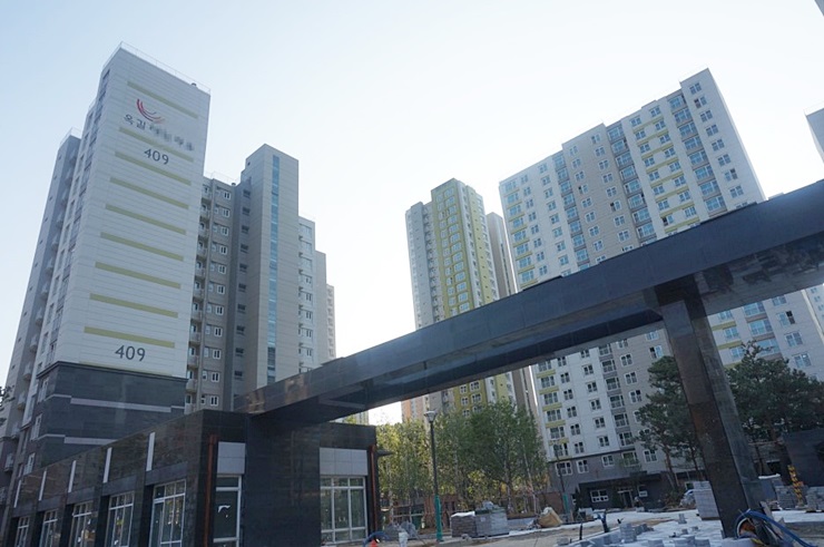 최선영 후기 사진 14