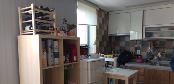 한가연 후기 사진 11