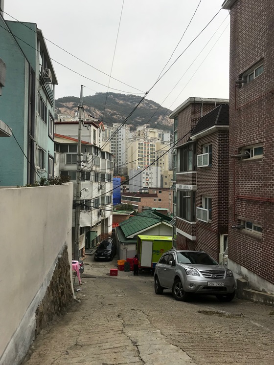 안태훈 후기 사진 1