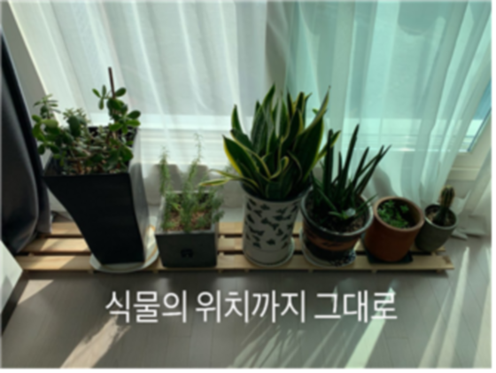 정원용 후기 사진 12