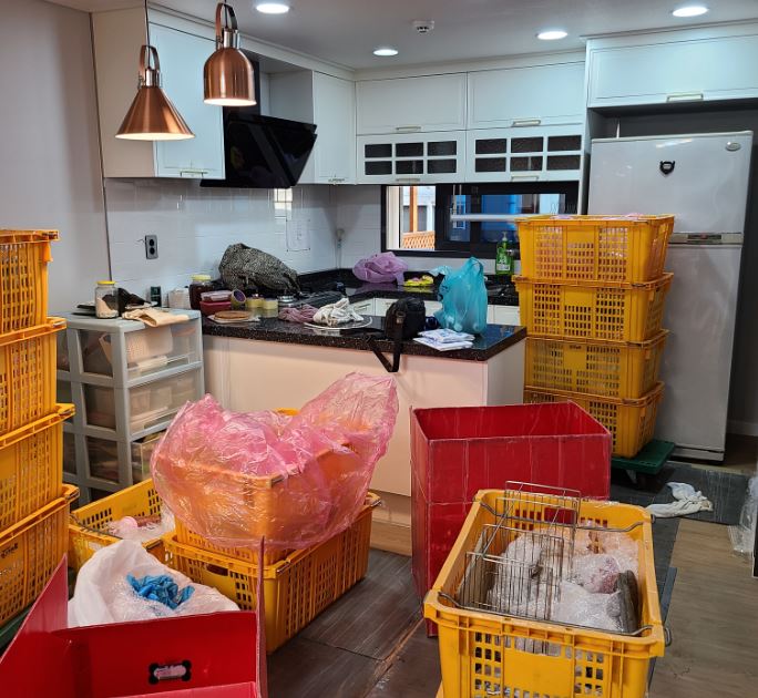 김기영 후기 사진 2