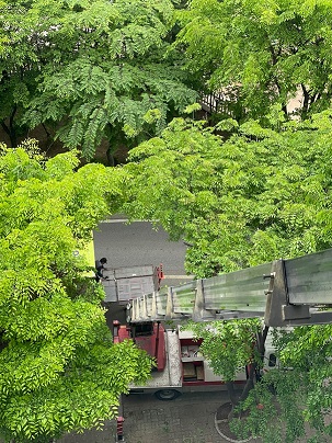 강경안 후기 사진 1