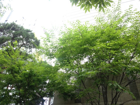 서아영 후기 사진 1
