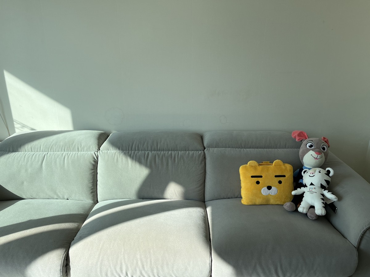 김정연 후기 사진 1