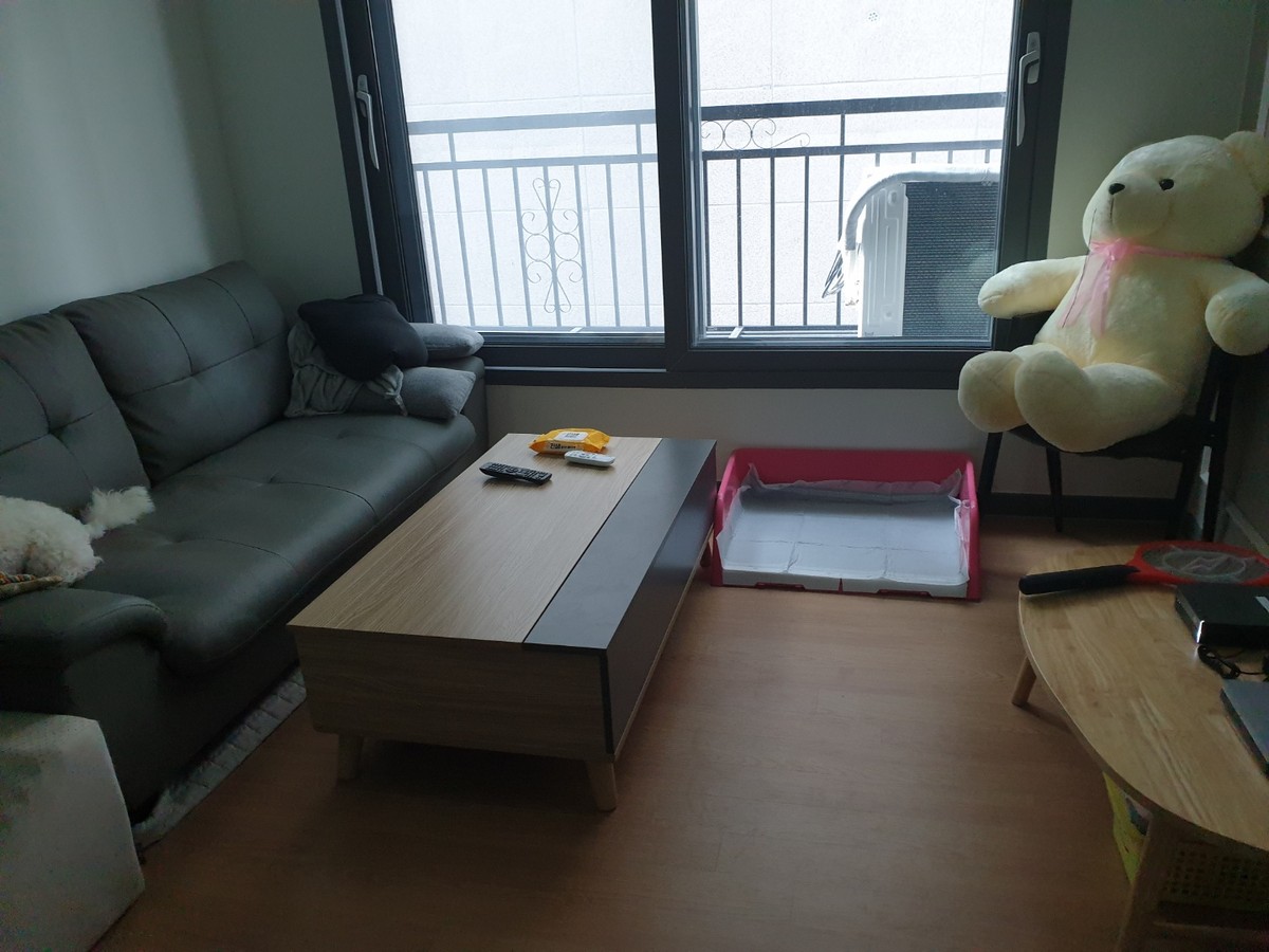 김재현 후기 사진 5