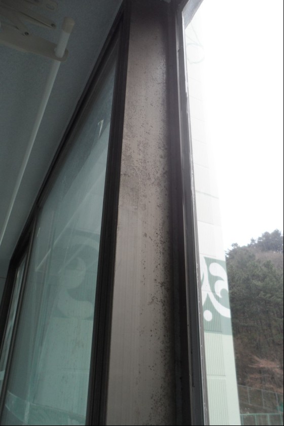 윤인숙 후기 사진 10