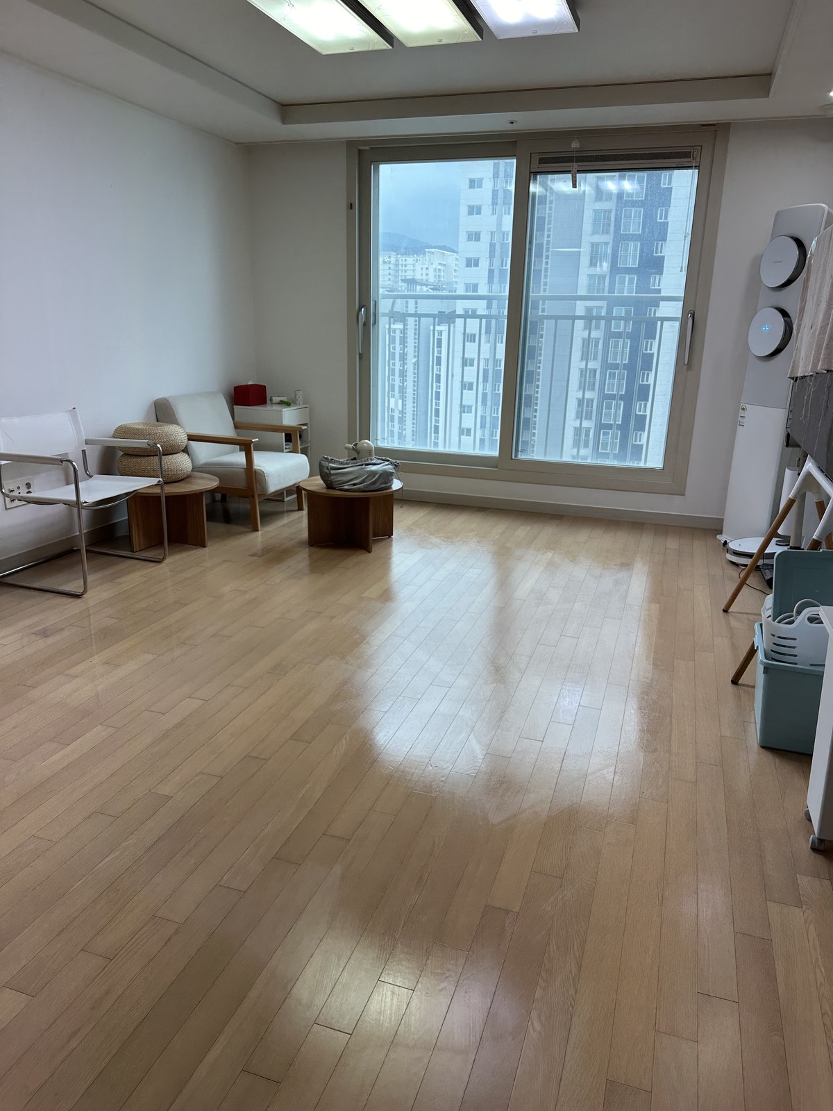 김진숙(포포) 후기 사진 2