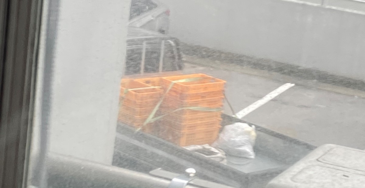 제0 후기 사진 2