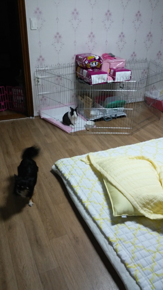 백정은 후기 사진 1
