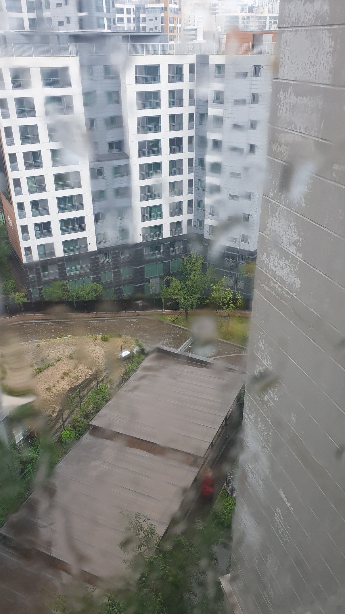 손재연 후기 사진 1